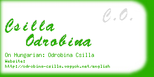 csilla odrobina business card